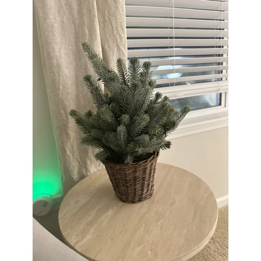 POTTERY BARN Faux Lit Blue Spruce Tree Size Small - 18
